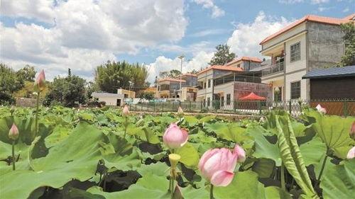 深圳吃瓜最新事件爆料新闻,揭秘背后惊人真相 第2张 深圳吃瓜最新事件爆料新闻,揭秘背后惊人真相 第2张