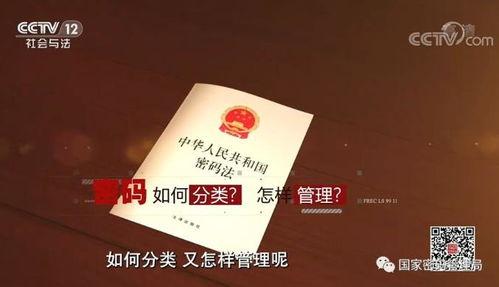 法律讲堂今日爆料新闻,今日热点新闻背后的法律真相  第3张